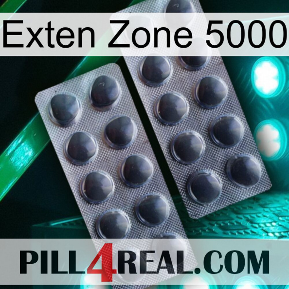 Exten Zone 5000 31.jpg